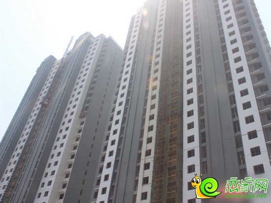 實(shí)景圖