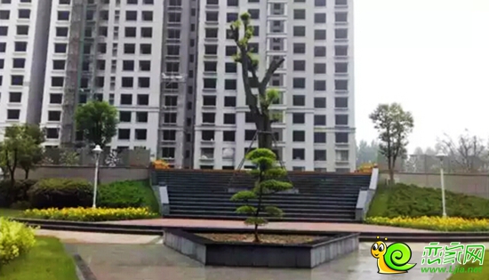 現(xiàn)代頤和苑園區(qū)實景