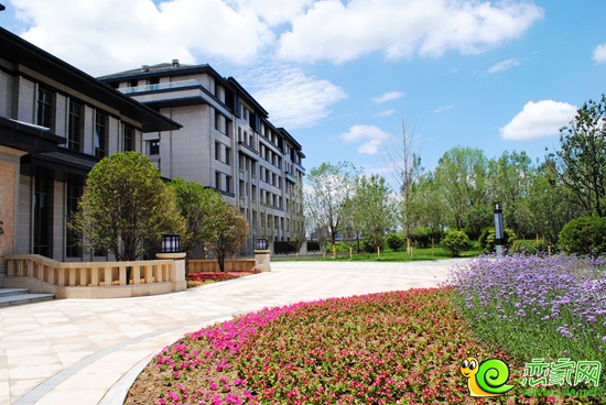 陽光東尚會所廣場前園林實景