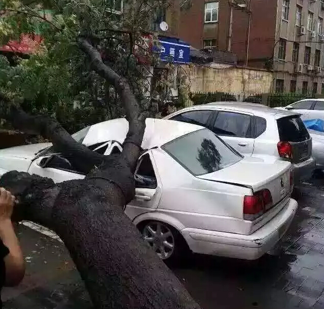 愛車被砸場面