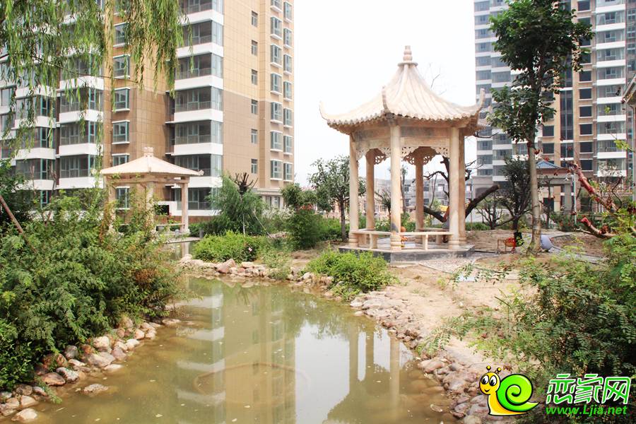 漢成華都2-4#樓園林實景圖