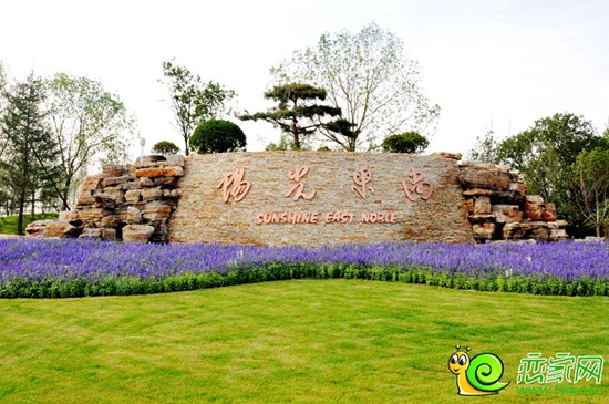 陽光東尚實景圖