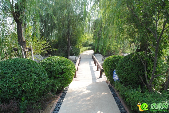 紫岸小區(qū)實景圖