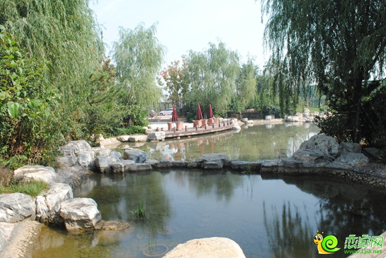紫岸小區(qū)實景圖