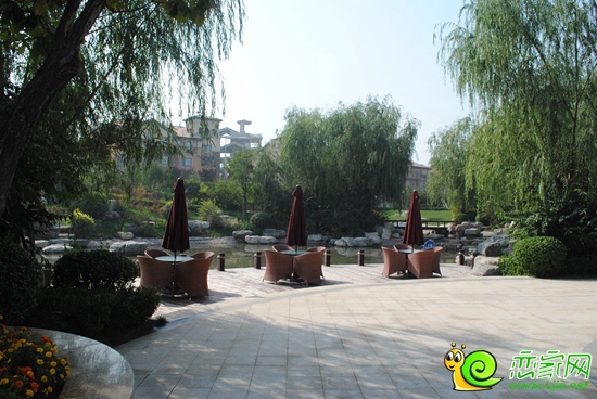 紫岸實(shí)景圖