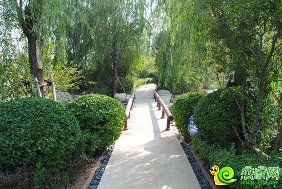 紫岸小區(qū)實景圖