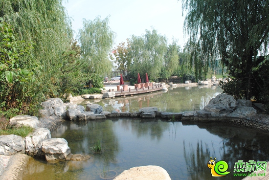 紫岸別墅實(shí)景圖