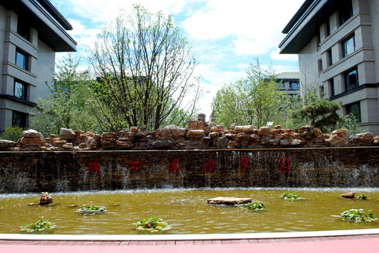 陽光東尚實景圖