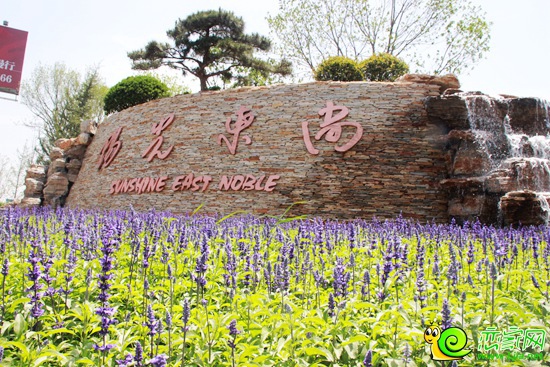 陽光東尚實景圖