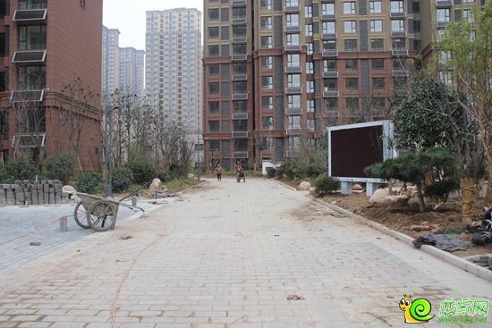 阿爾卡迪亞三期·陽光苑小區(qū)實(shí)景圖