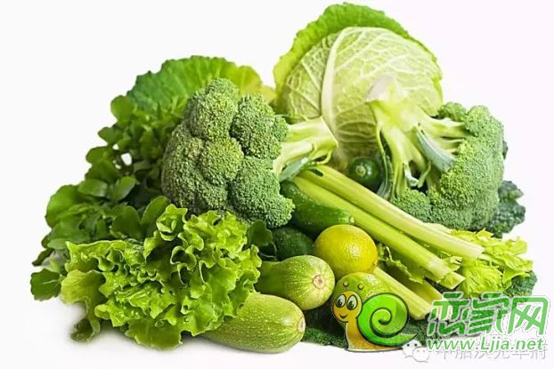 有機(jī)蔬菜免費(fèi)送