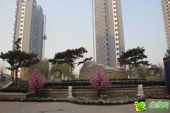 萬(wàn)浩·金百合實(shí)景圖