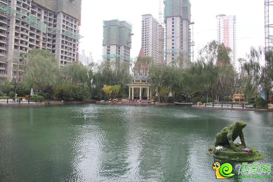 恒大名都實(shí)景圖（2015.11.07）