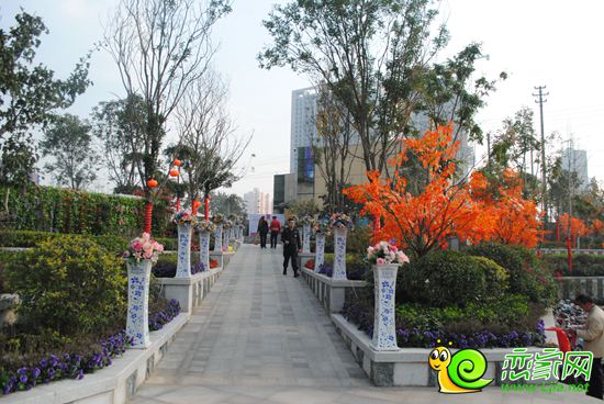 鉑爾縵國際公館實(shí)景圖