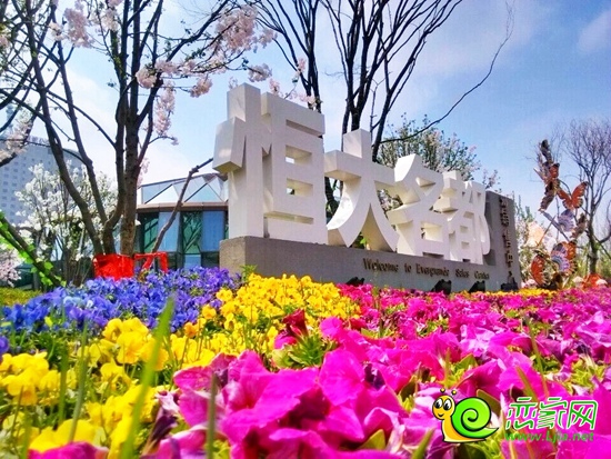 恒大名都實(shí)景圖