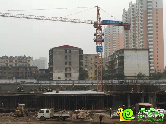 1#正在進行夾層支模，鋼筋綁扎