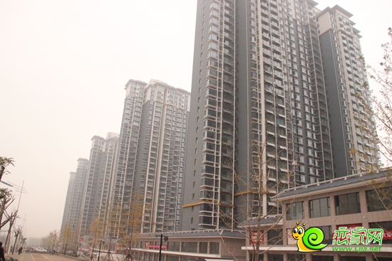 錦繡江南實景圖