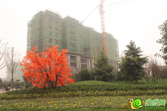 北湖十六峯施工實(shí)景圖