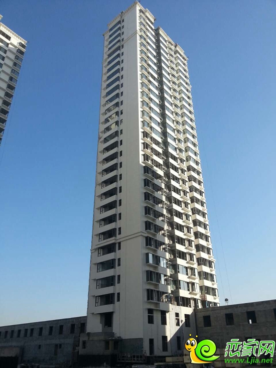 嘉大如意實景圖