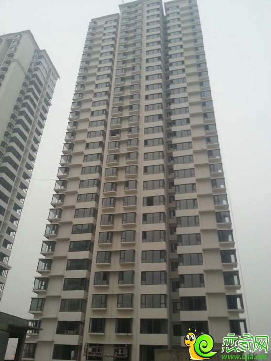 嘉大如意實景圖