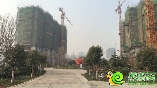 北湖十六峯樓棟實景圖