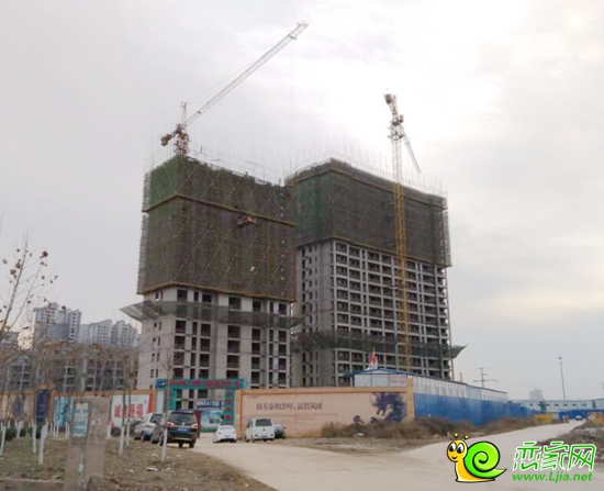 趙都華府3#、4#樓棟實(shí)景圖