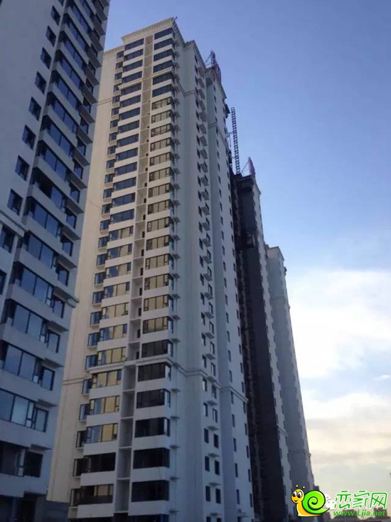 嘉大如意樓棟實(shí)景圖