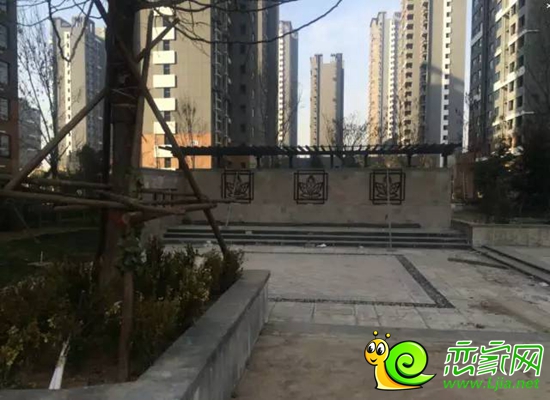 萬浩金百合實(shí)景圖