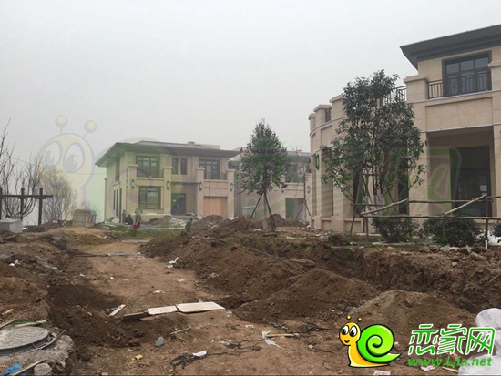 北湖美域施工實(shí)景圖（12.22）