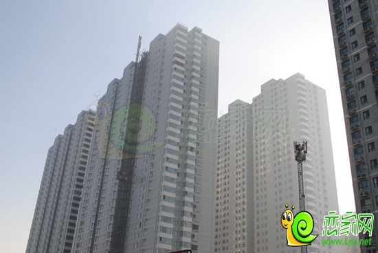 北海莊園樓棟實景圖