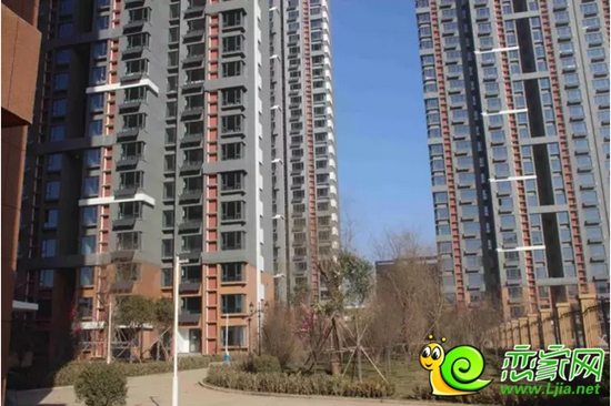 金百合項(xiàng)目現(xiàn)場(chǎng)實(shí)景照