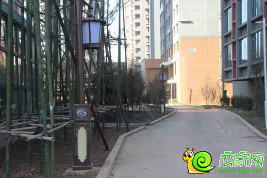 金百合項(xiàng)目現(xiàn)場(chǎng)實(shí)景照