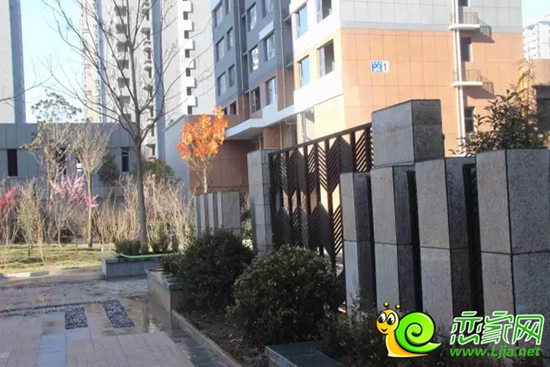 金百合項(xiàng)目現(xiàn)場(chǎng)實(shí)景照