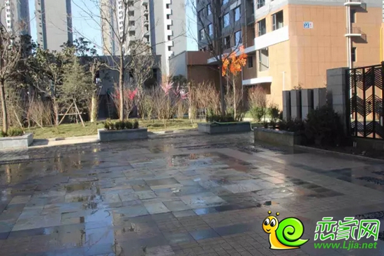 金百合項(xiàng)目現(xiàn)場實(shí)景照