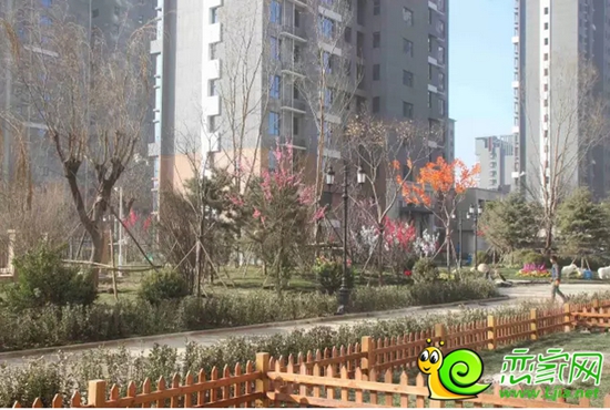 金百合項(xiàng)目現(xiàn)場實(shí)景照
