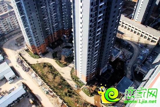 金百合小區(qū)實景圖