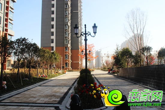 金百合小區(qū)實景圖