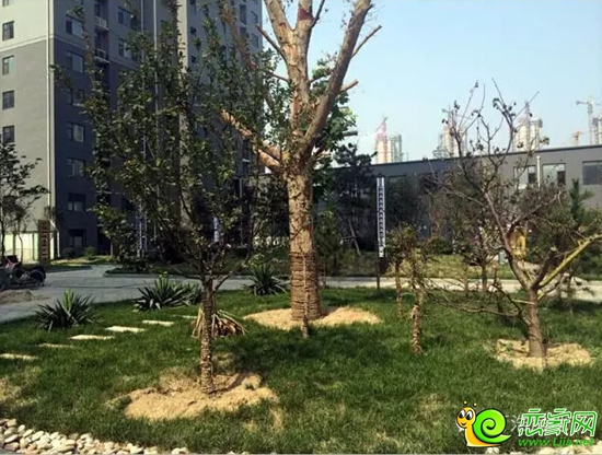萬浩儷城社區(qū)實景圖