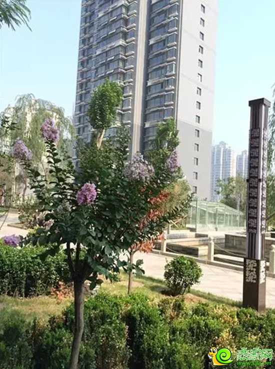 萬浩儷城社區(qū)實(shí)景圖