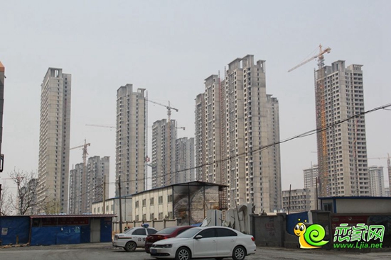 金百合2015年4月實(shí)景圖