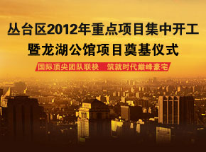 2012c(din)(xing)Ŀ^xʽ