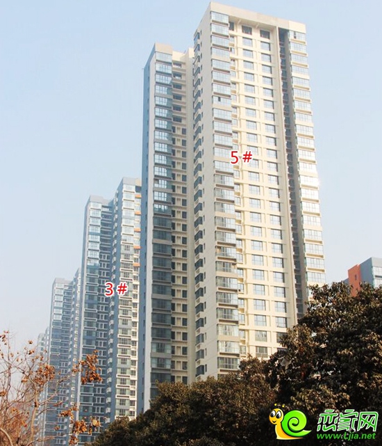 連城別苑四期實景圖