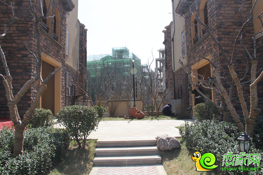 紫岸別墅實(shí)景圖