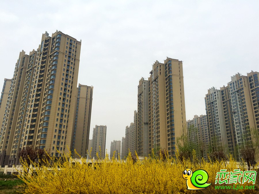 美的城三期實景圖