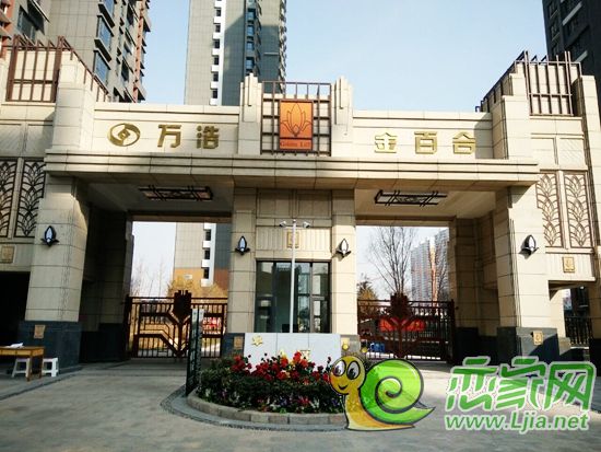 金百合實(shí)景圖