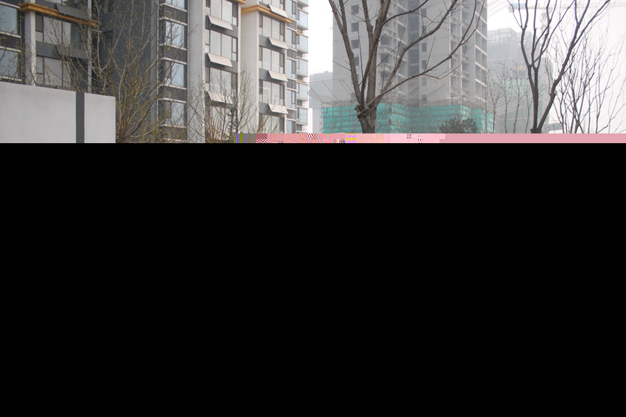 錦繡江南實景圖（2016.3.19）