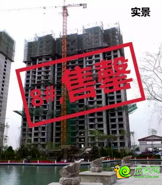 北湖十六峯8#樓售罄