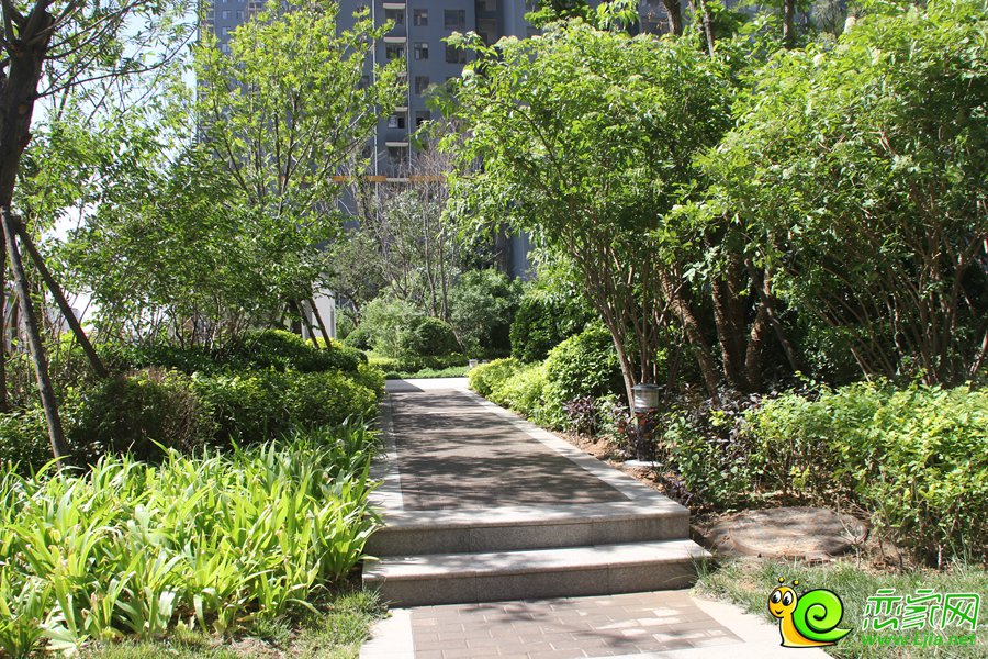 錦繡江南實景圖