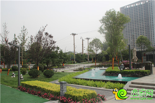 鉑爾縵國(guó)際公館實(shí)景