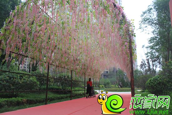 美的城花香之路